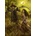 Grafika Art Puzzle - Puzzle Ortega: Field of the Scarecrow III - 1 000 piese