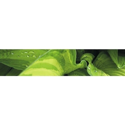 mySPOTTI Samolepící PVC tapeta do kuchyně splash Prales, rozměry 60x280 cm