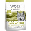 Wolf of Wilderness Green Fields jahňacie 2 x 12 kg