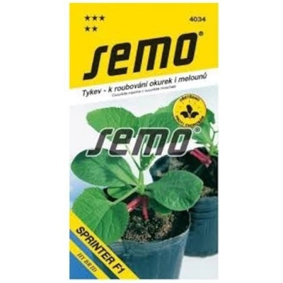 Tykev SPRINTER F1 k roubování 15 semen