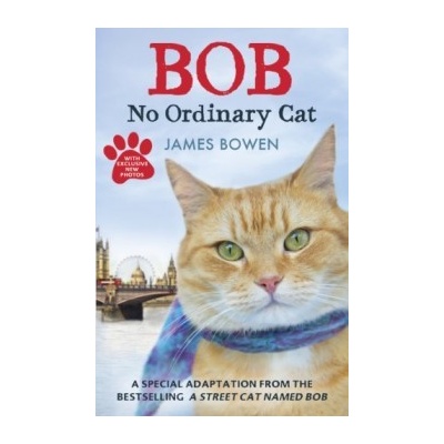 Bob: No Ordinary Cat - James Bowen
