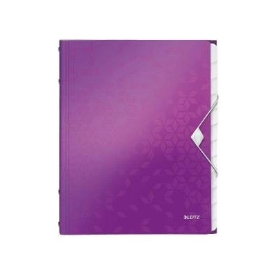 Leitz Esselte Briefcases with 12 compartments Leitz Wow purple (4634-00-62)
