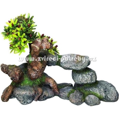 Nobby Bonsaj 19x9x13 cm