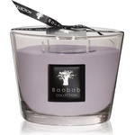 Baobab Collection All Seasons White Rhino ароматна свещ 500 гр