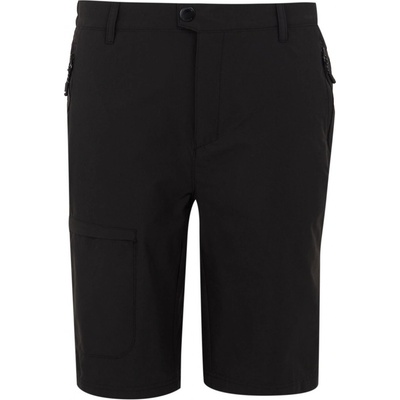 Regatta Highton shorts Long II