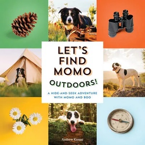 Let's Find Momo Outdoors! | KNAPP ANDREW (ISBN: 9781683692621)