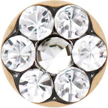 Studex Náušnice na piercing Sensitive Maxi Margaréta PR-LD6004Y pozlátená