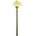 AMARYLIS 83CM BIELY