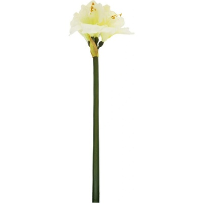 AMARYLIS 83CM BIELY