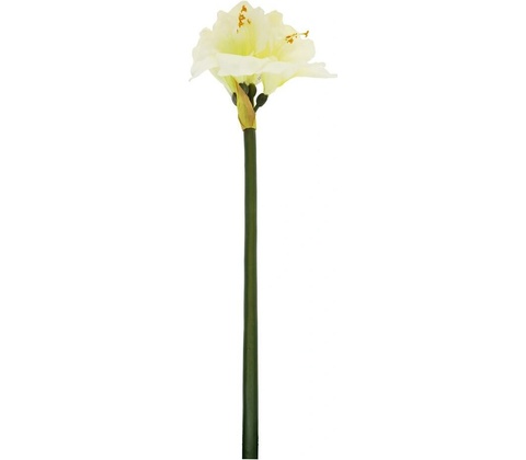 AMARYLIS 83CM BIELY