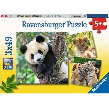 Ravensburger - Puzzle 3x49 Panda, tiger and lion - 40 - 99 piese