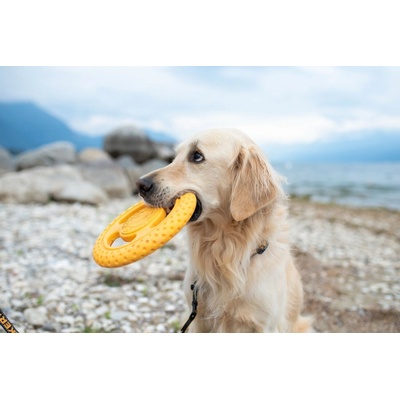 Kiwi Frisbee 22 cm