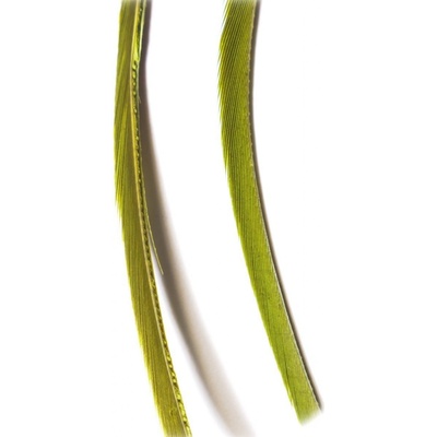 Veniard Husí Biots Goose Biot Strips Medium Olive