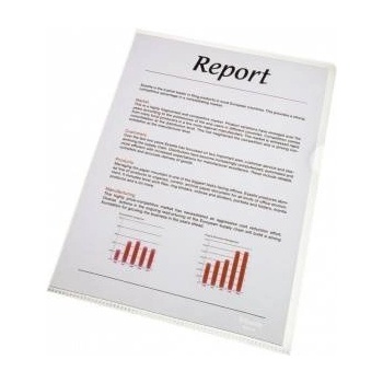 Esselte bidder A4 100 PCS (56218)