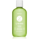 Kemon Liding Energy Shampoo 250 ml