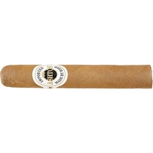 Ashton Magnum Robusto 25