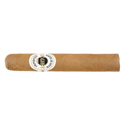 Ashton Magnum Robusto 25