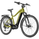 Leader Fox Saba 2024