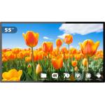 EVOBOARD TP-550BD