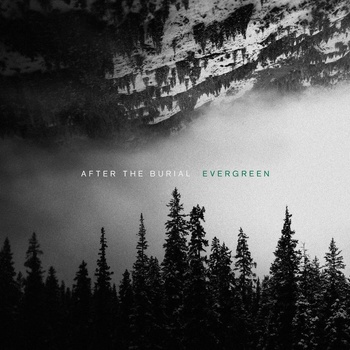 After the Burial - Evergreen (Reissue) (LP) (817424019972)