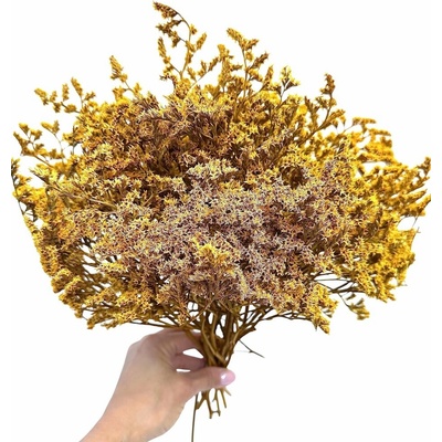 Statice tatarika hořčicová svazek 50g