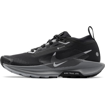 Nike Pegasus Trail 5 Gore-Tex