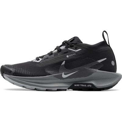 Nike Pegasus Trail 5 Gore-Tex