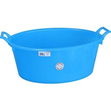 ICS P12170A