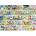 Gibsons - Puzzle Birdsong & Bluebells - 1 000 piese