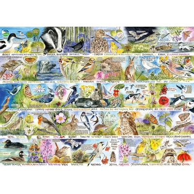 Gibsons - Puzzle Birdsong & Bluebells - 1 000 piese