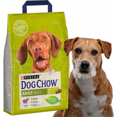 Purina Dog Chow Adult Lamb & Rice 2,5 kg