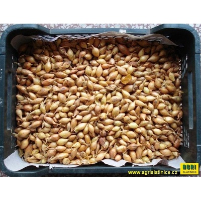 Sazečka ozimá 1kg SHAKESPEARE 8-16
