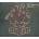 Spitfire - Lifetime Visa /Digipack CD