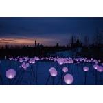 DIMEX ART Флизелинов фототапет празнично осветление 375 x 250 см