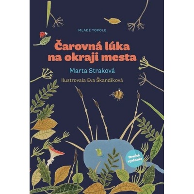 Čarovná lúka na okraji mesta - Marta Straková