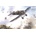 Roden Junkers D.1 1:72