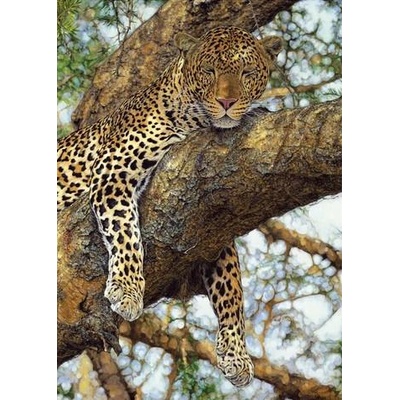 Dino - Puzzle Leopard on a tree - 1 000 piese
