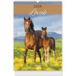 Lizzycalendar Настен календар lizzycalendar b/4, вертикален, със спирална подвързия, „Коне 2027 (7540226002)