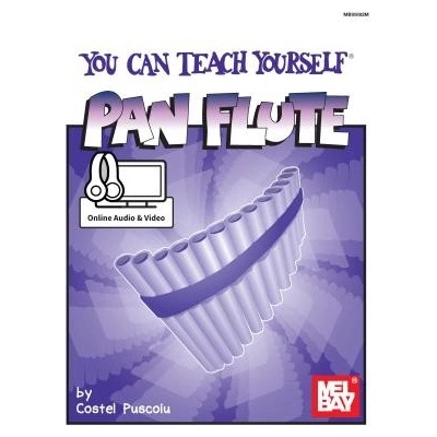 YOU TEACH YOURSELF PAN FLT BK AUD VID UNKNOWN