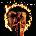 Marillion - Afraid Of Sunlight (Limited Eition) (Reissue) (Picture Disc) (2 LP) (5021732758118)