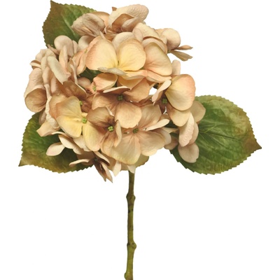 Hortenzie - Hydrangea Amy oranžová/peach V48 cm