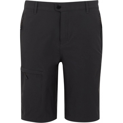 Regatta Highton shorts Long II