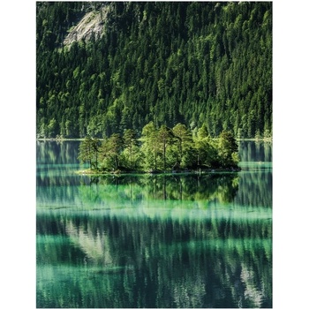 Tajný život stromů. Co cítí, jak komunikují - objevování fascinujícího světa - Peter Wohlleben výpravné vydání CZ