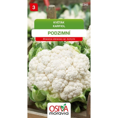 Květák podzimní 0,4 g