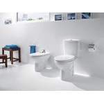 Roca A34S395000