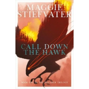 Call Down the Hawk (ISBN: 9781407194462)