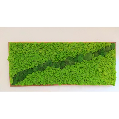 Machový obraz v tenkom ráme 70cm x 170cm