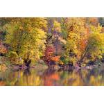 DIMEX ART Флизелинов фототапет отражение на есенен пейзаж 375 x 250 см