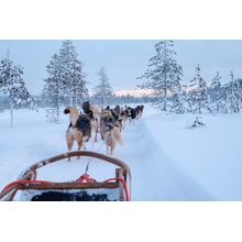 Mushing - Jazda psím záprahom