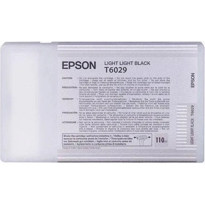 Epson T6029